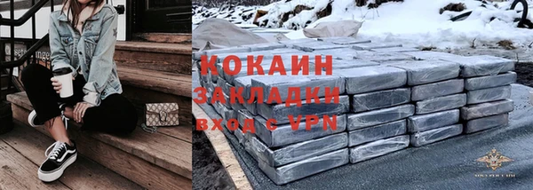 шишки Вяземский