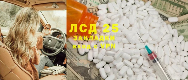 шишки Вяземский