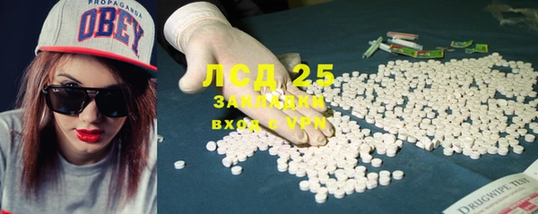 шишки Вяземский
