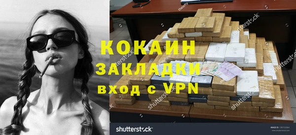 шишки Вяземский