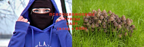 шишки Вяземский