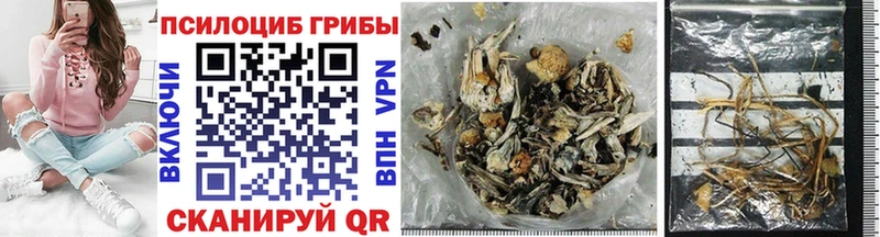 Купить где  Пыть-Ях  Галлюциногенные грибы Psilocybine cubensis 