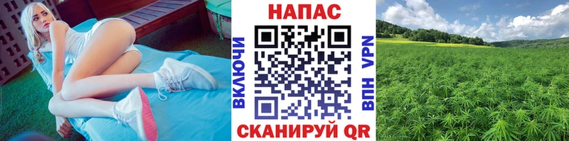 Купить  Пыть-Ях  Шишки марихуана ГИДРОПОН 